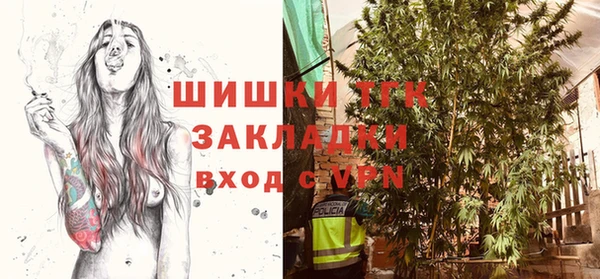 гидра Пестово
