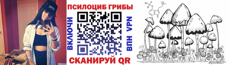 Галлюциногенные грибы мицелий  Корсаков 